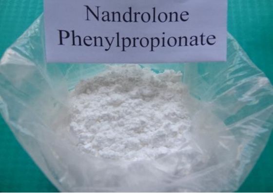 Nandrolone Phenylpropionate Oral Anabolic Steroids Bodybuilding CAS 62-90-8